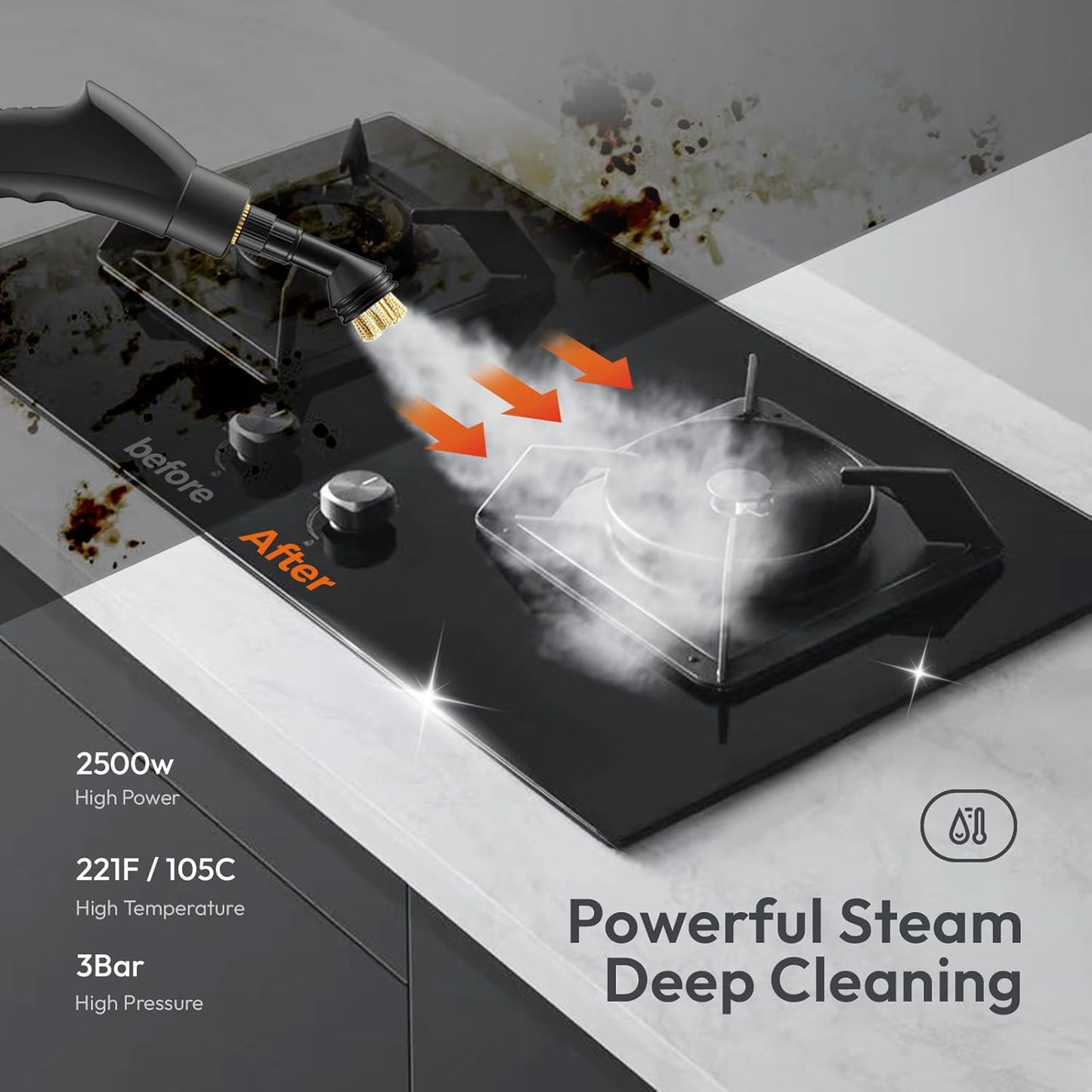 Portable Steam Cleaner